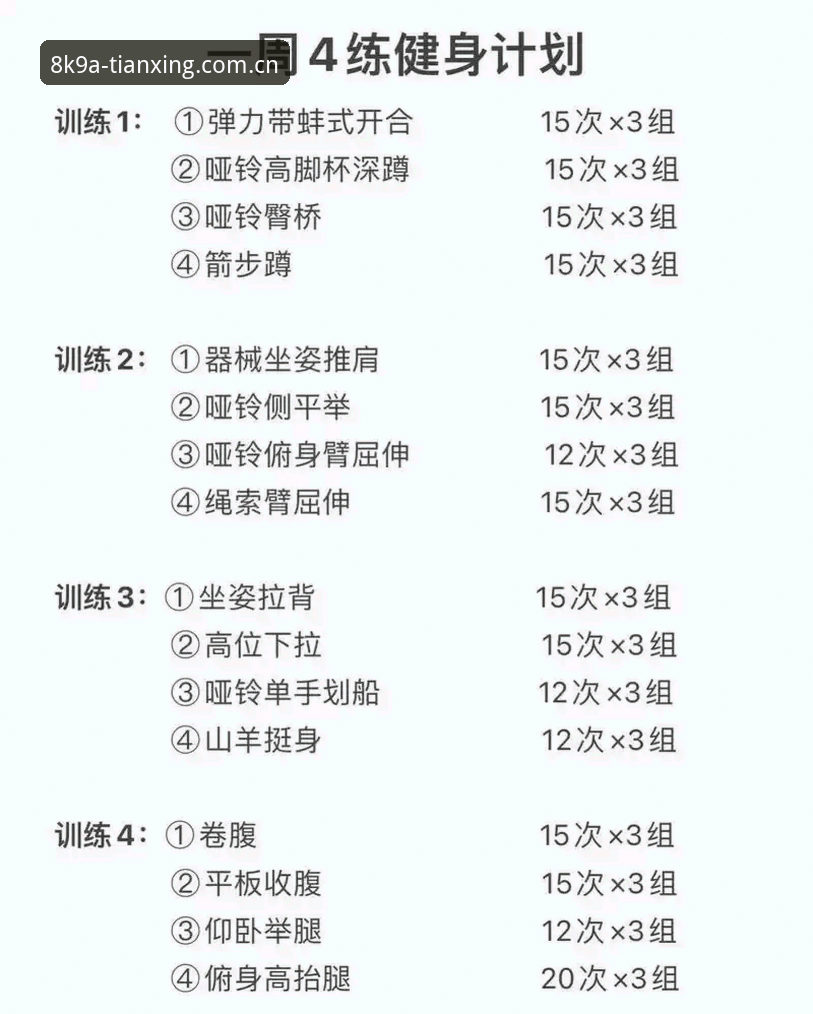 天行体育装备指南：从入门到精通的操作教程